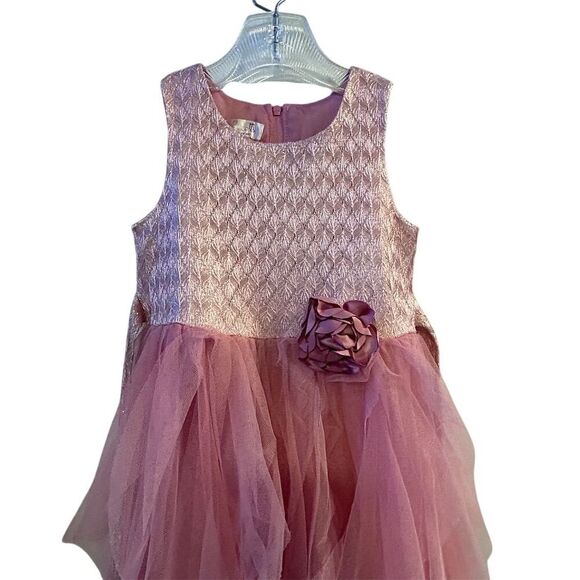Biscotti Girls 4T Pink Tulle Ruffled Party Dress Sleeveless Knee Length - Picture 3 of 12